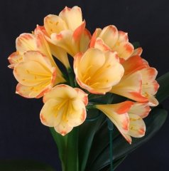 picture4.jpg