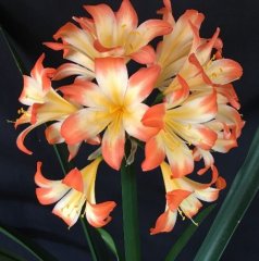picture7.jpg
